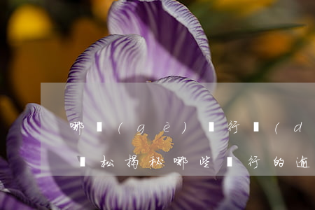哪個(gè)銀行對(duì)逾期處理比較松，揭秘：哪些銀行的逾期處理較為寬松？